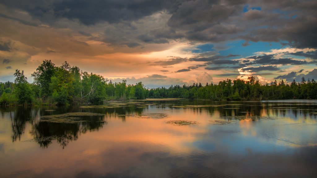 Florida Lake Stock Image